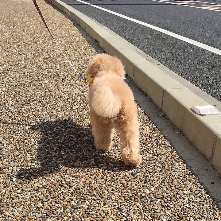 299cc8b0 2d5b 44f3 b9dc a35b742eb5a3