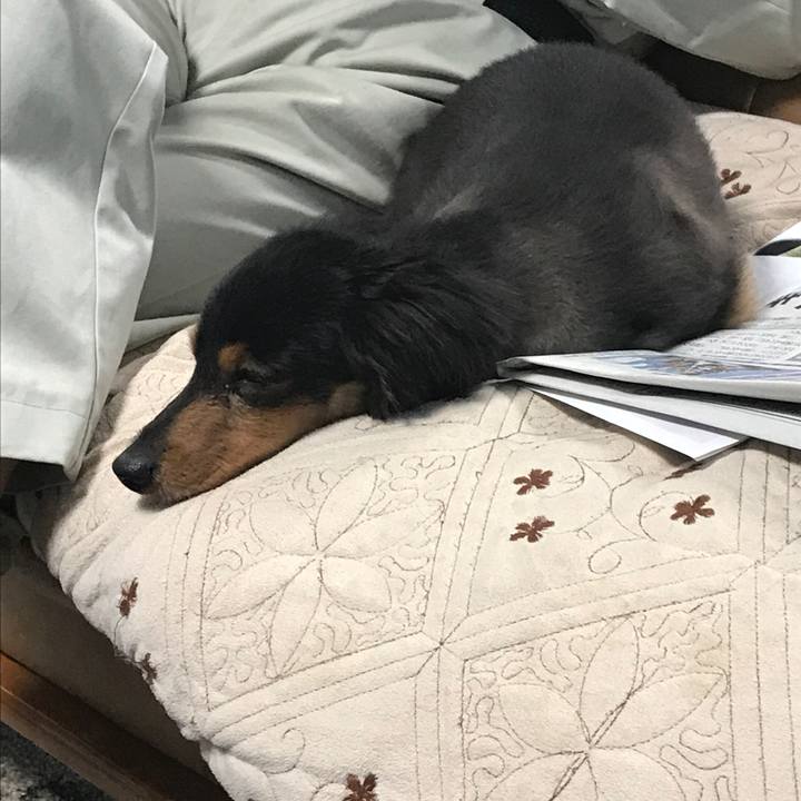 299ce4b4 9504 4a18 a44e 0e91828679ac