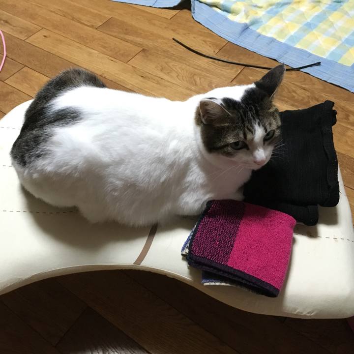 299cf004 f8cd 4a8e b433 0b4d6b8d3f70