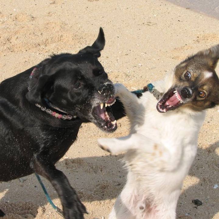 299d1bb8 d1d6 4186 b089 7ce35a3448aa