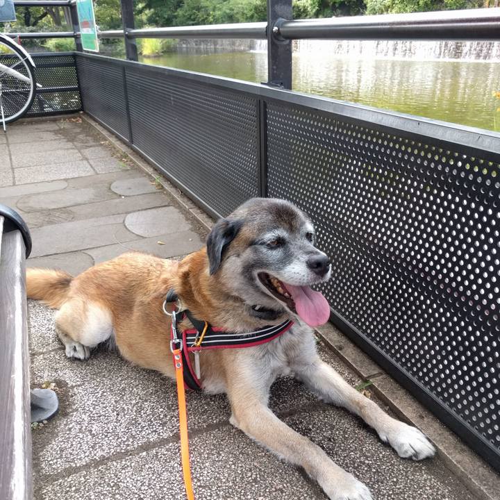 299d269f 4741 428d a668 902469fd6f26