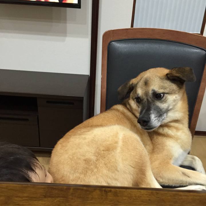 299d8fb7 7a0b 4a4e 8d37 676c53f0eaf8