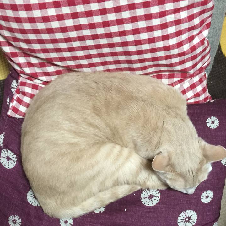 299fc647 4825 4414 89c5 52d8df00ac65