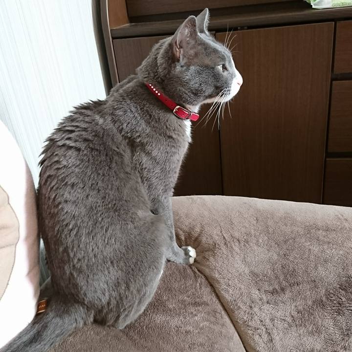 29a01926 d83d 4258 958f 435eb27521dc