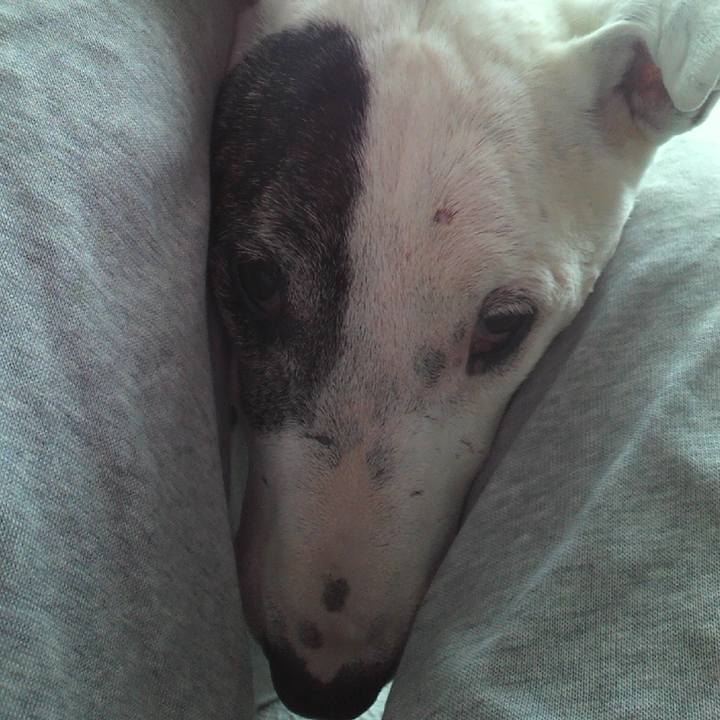 29a11c2f 9d03 4840 b024 840fe2d2d3aa