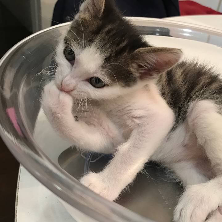 29a16363 4f54 4e07 ba21 36c635c04e5e