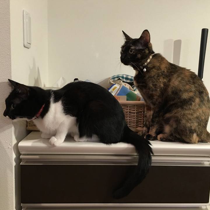 29a1fb29 a221 4919 b400 be77c7c81c68