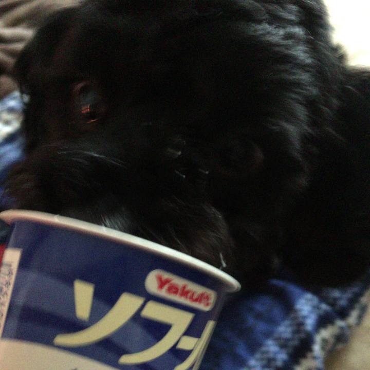 29a20d30 ae9c 467c 9651 c537bdc2702f