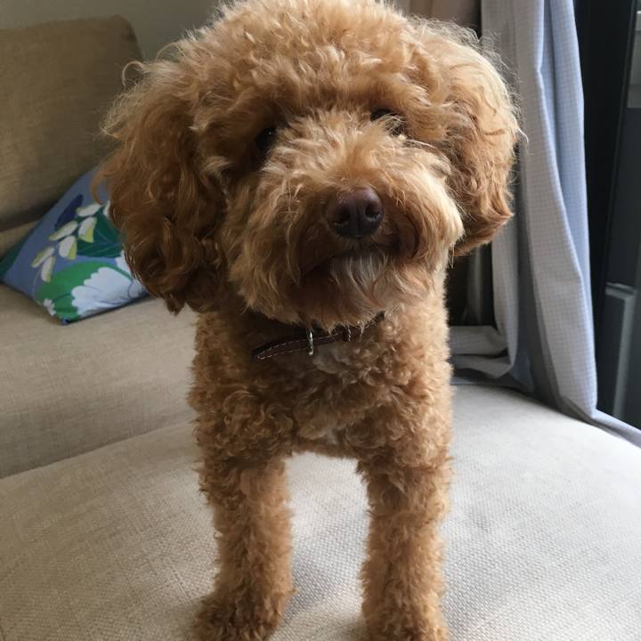 29a2142e 999e 44f5 88b2 88951694054a