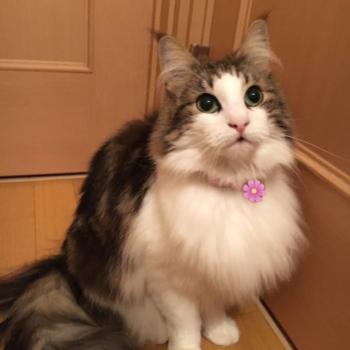 29a25234 4449 4e85 be6f 66fd175a10ea