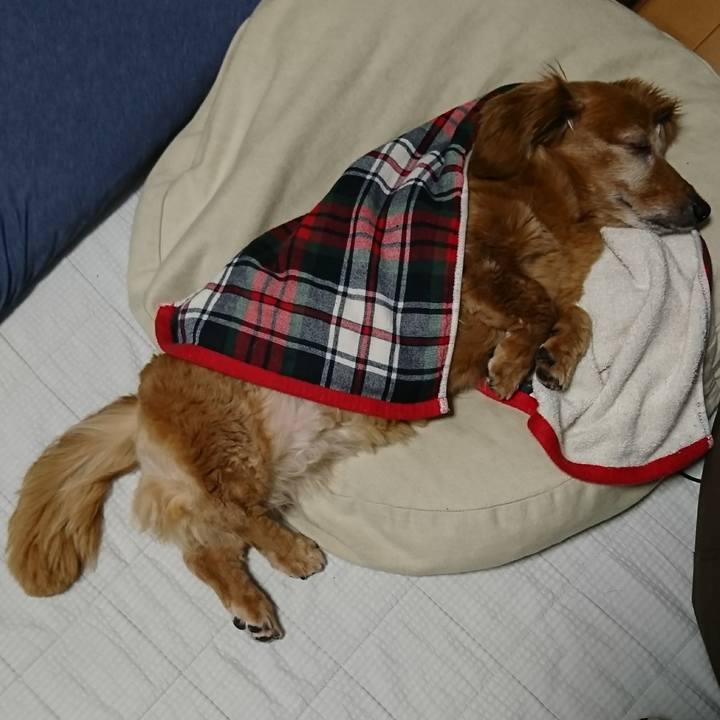 29a27ecf 5a17 41e9 bdc8 1f699c8474f8