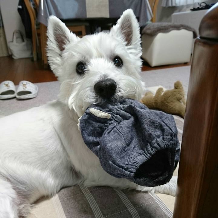 29a40404 abeb 40dc be85 9605931e6507