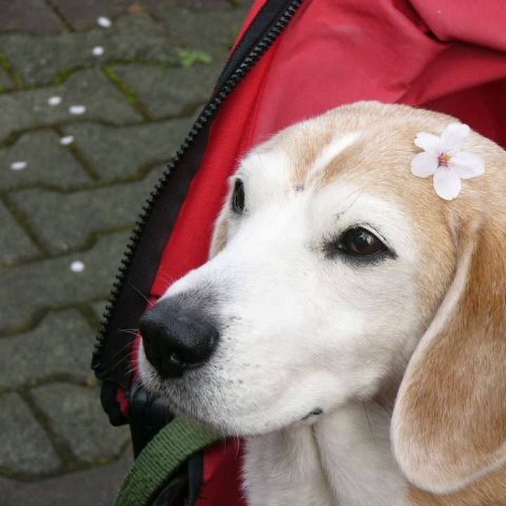 29a4c2e0 afc5 45a6 9e4b d5696bea4d64