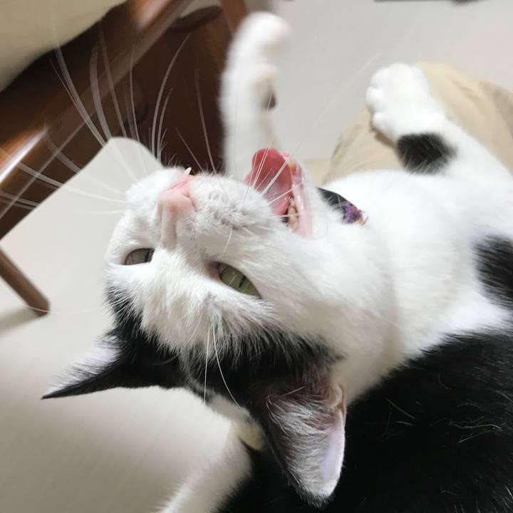 29a4cb62 ce6f 480e 8cff cc661204bf44