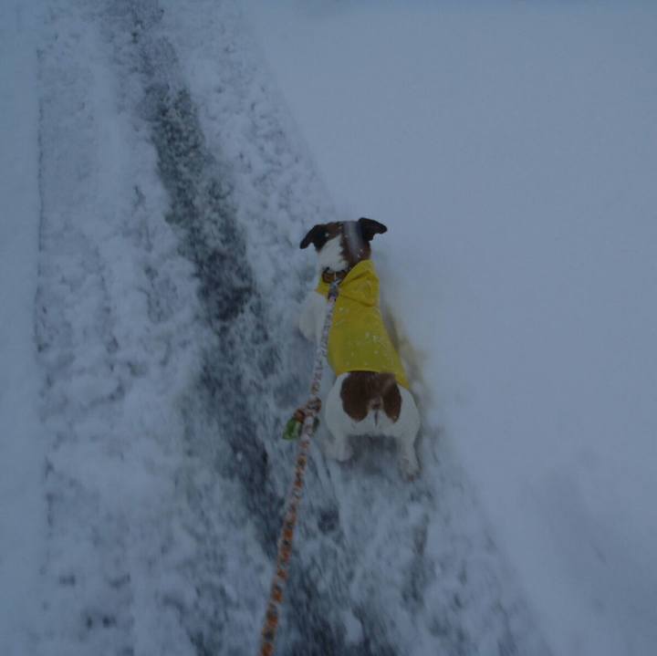 29a50202 c61c 41a8 ba31 4bc5142f83c9