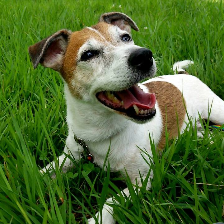 29a53365 1579 43d2 b998 47afaf76e77d