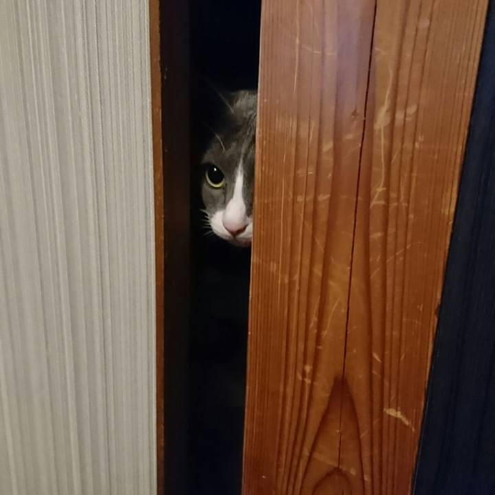 29a5499f c3a7 431d 80d9 87908d8233cb