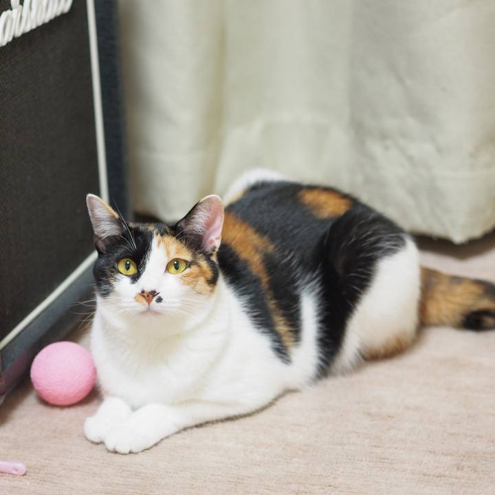 29a5c83e e5ec 4e6a 9432 17d054602506