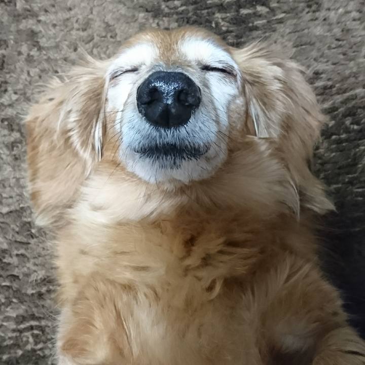 29a5f7e6 1aad 4d8d 93a0 70ae9432f7ec