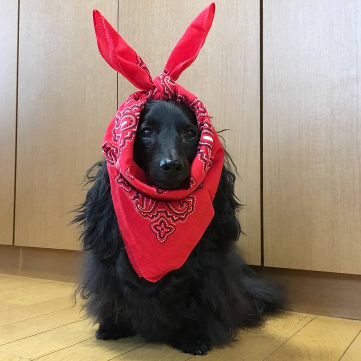 29a6579e 4d71 442b b89f 31250aaf2a1c