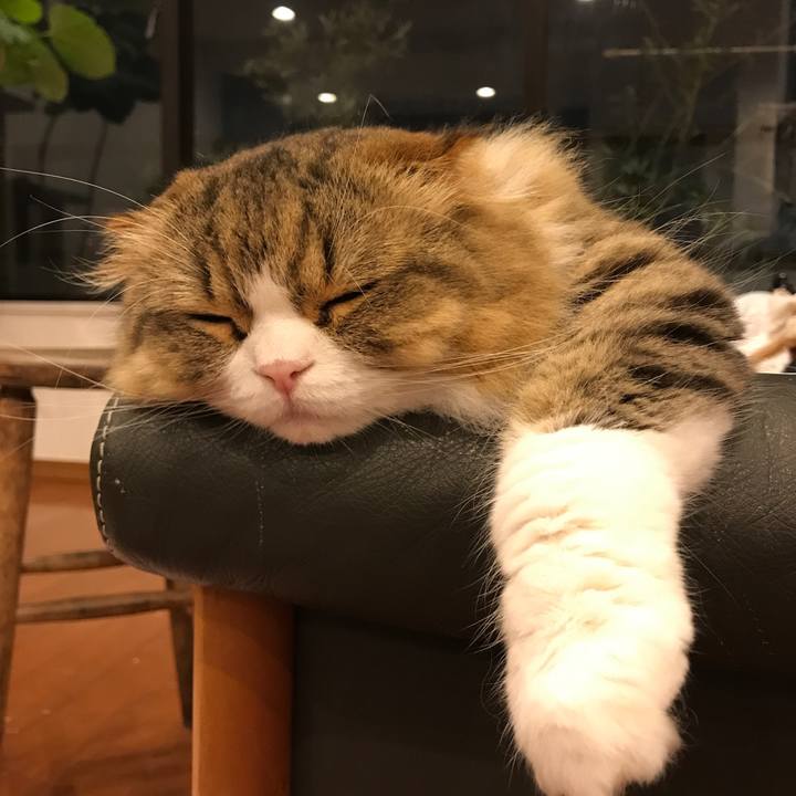 29a674c7 8725 482c aabc 4f302d4653d8