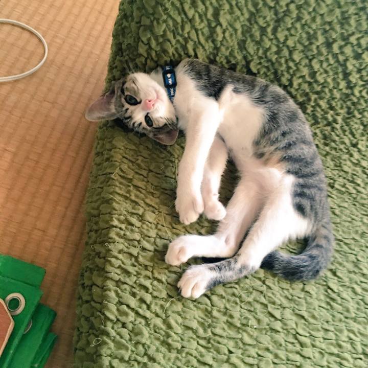 29a686ac dc71 4f16 99e3 5aceeb615563