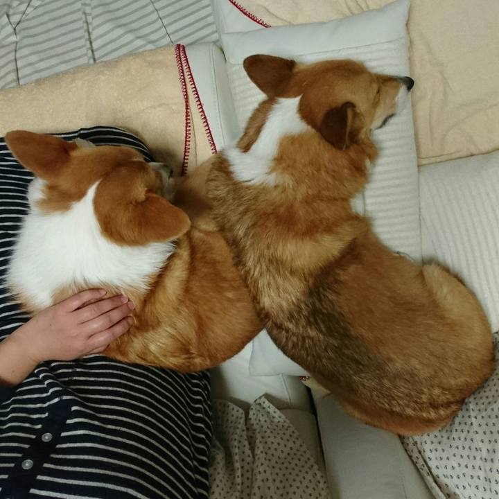 29a708cd 70a9 40a8 9c8d 7c21c96af22b