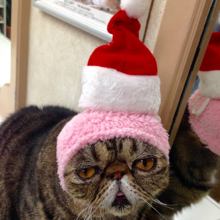 29a7a462 d575 4659 bc52 dff97a8cbd7d