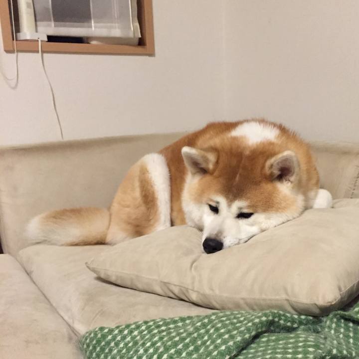 29a7c9b0 bf82 486c 8c14 26f4484bbb81