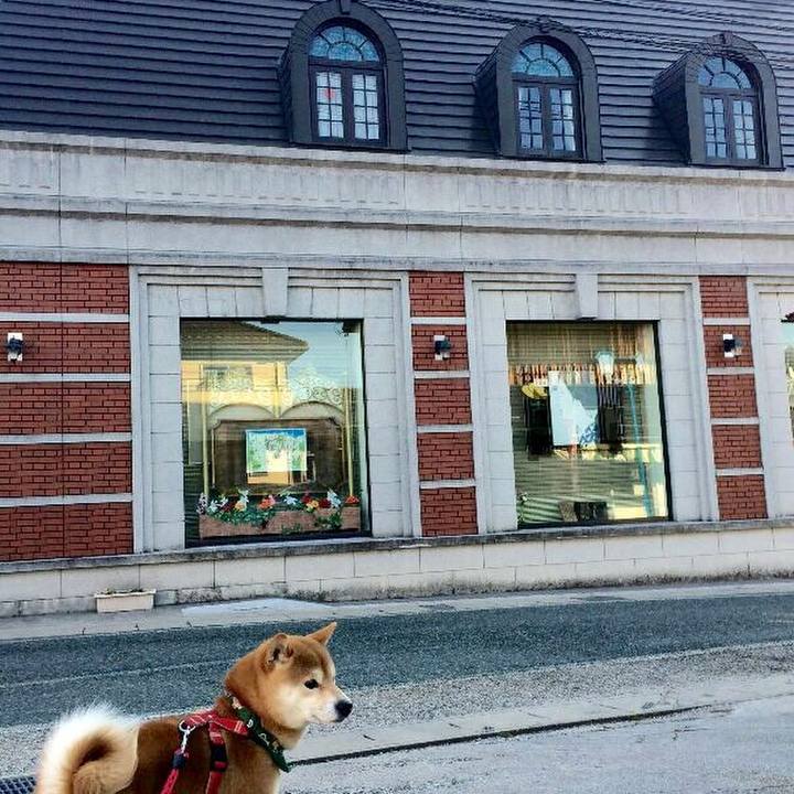 29a83711 a6eb 4680 bc02 e693c0960c35