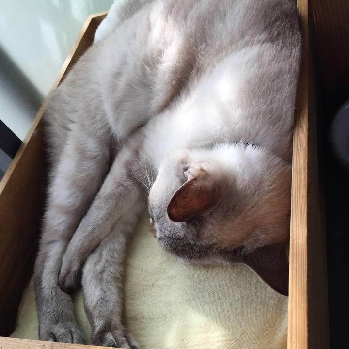 29a85d5d ca7d 4bda b9a1 e8fef6dccf1f