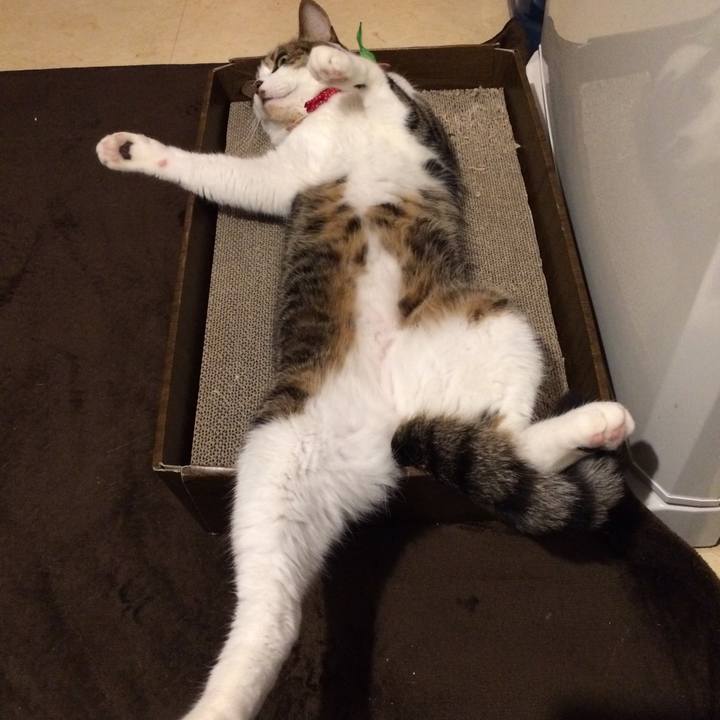 29a8d0b0 16d2 4abe 8fa2 a746a3e83a96