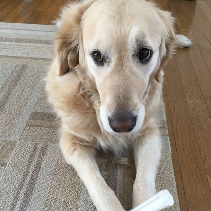 29a8e947 c4eb 4673 9a4e b691fb0b0cc0