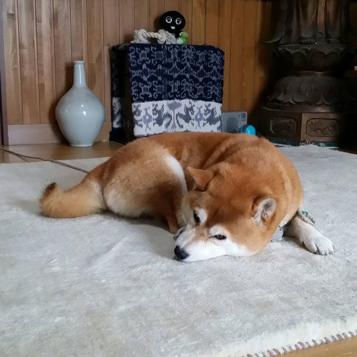 29a92f3c 6d09 4d07 bfc3 35524b3f6b9c