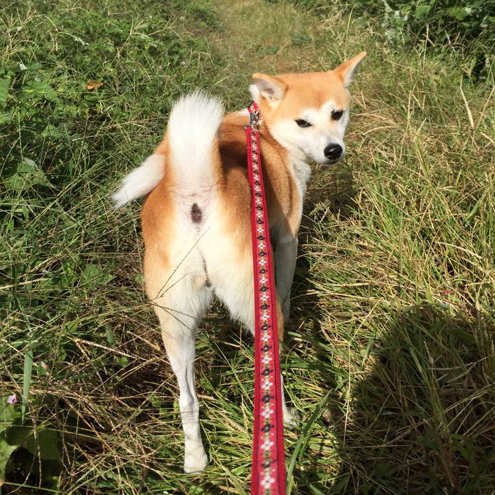 29a97a35 3554 4d5a 9d27 a298babd3466