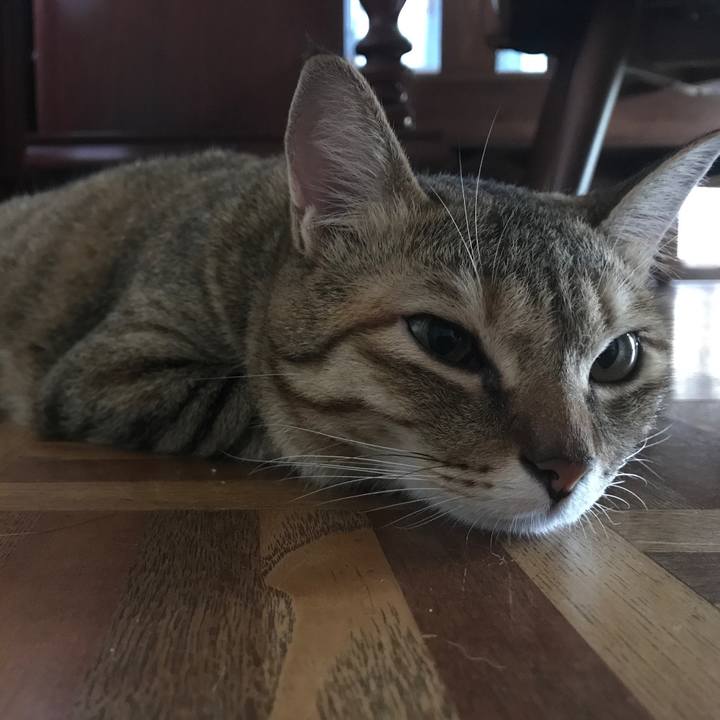 29a988d1 382f 4564 af35 ef1751bddcec