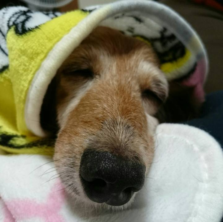 29a9dd78 e352 4852 8b2a 37d9949b7e04