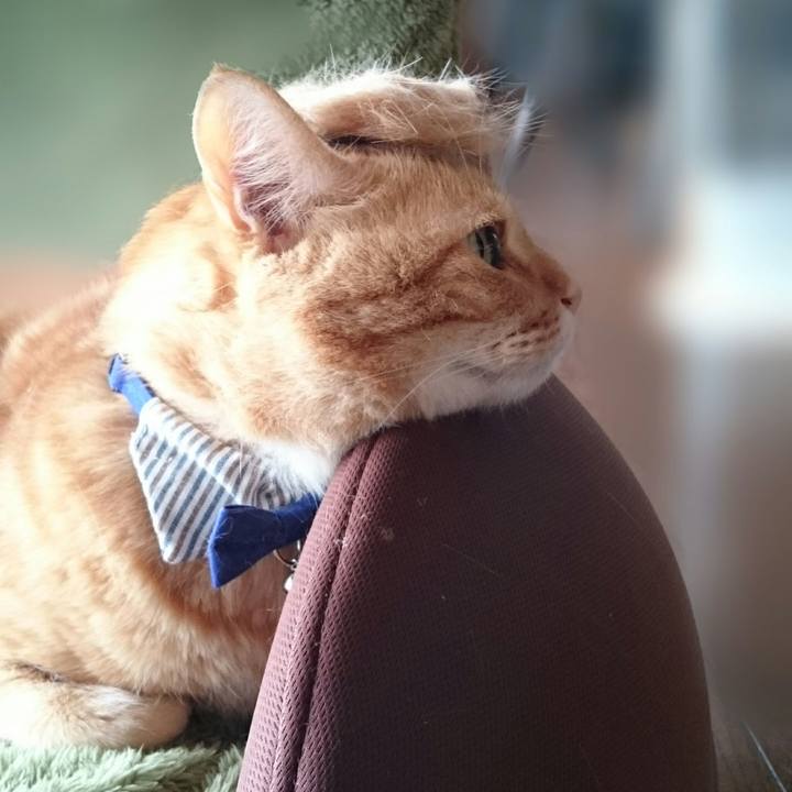 29aa0b3b 8347 48e6 b2a0 819b9676f190