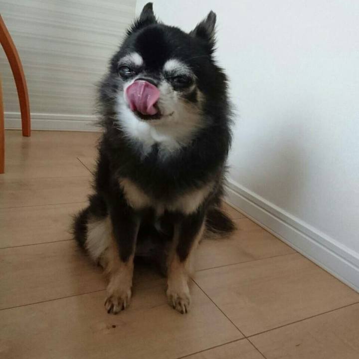 29aa83d6 e32e 4e9b ae22 84b04b778b6f