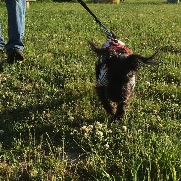 29ab5df0 1e7d 4b22 acf5 c07433cc921c