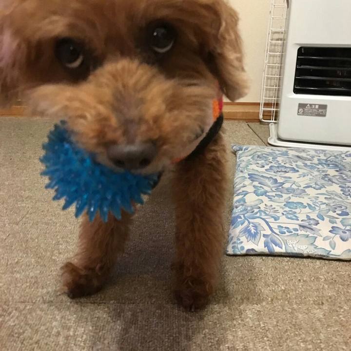 29abd523 7cab 431e b2c6 9f175b6a9660