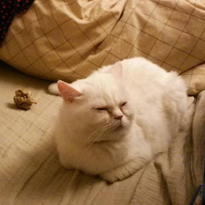 29abedea cc19 4c0a 95ed f7df84ea1b67