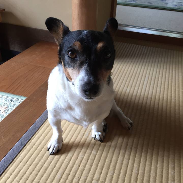 29ac2970 7dd2 4266 bc3a a19b09b93399