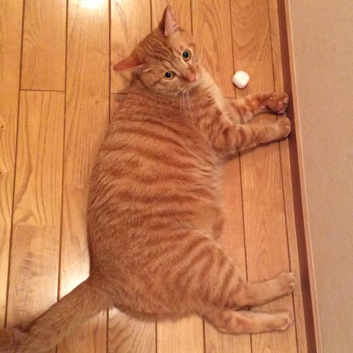 29ad2299 1387 4261 bb15 b23589433ab2