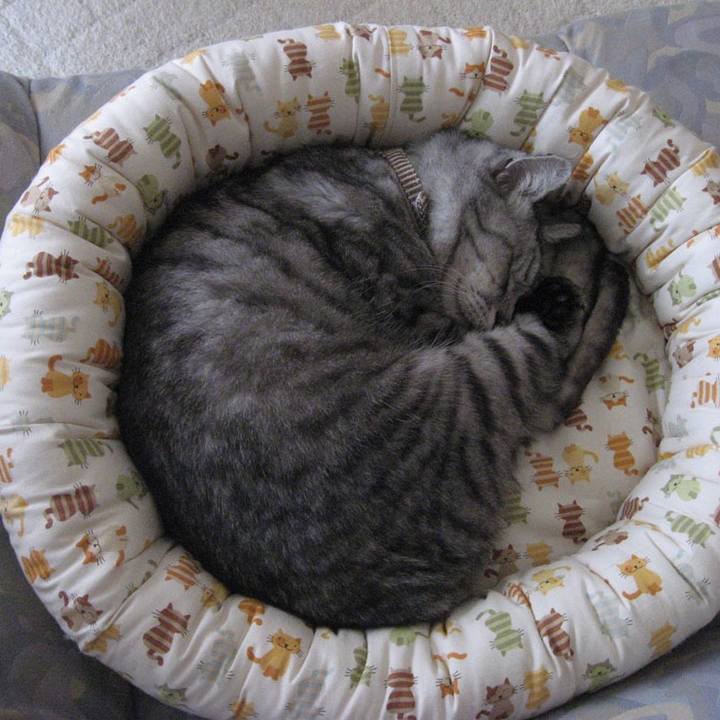 29ad743c dd00 42a7 af23 43277341ed4c