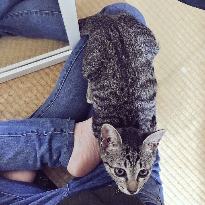 29ae5d70 9359 4d3d 8f39 f414a8696724