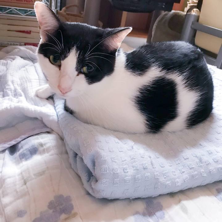 29ae7f02 7ab9 49df 8b48 f0b69beb7066