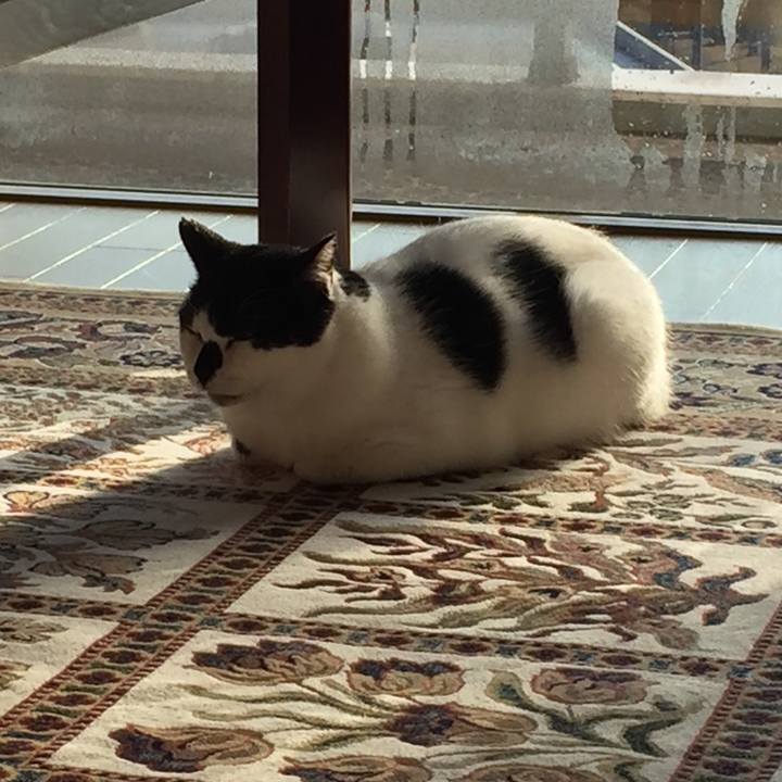 29aeb041 4f10 42b2 8e5d 3ef0d6048e12