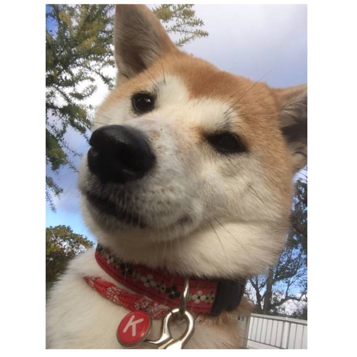 29af9741 b126 4344 9b34 24350c54159e