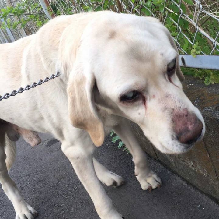 29aff2ee b195 416c 9133 f5a968e5e1c0